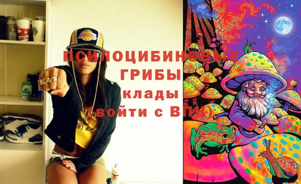 кокс Аркадак