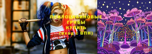кокс Аркадак