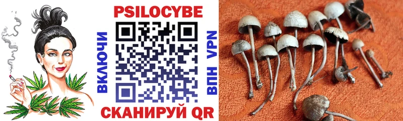 как найти закладки  Калтан  Галлюциногенные грибы прущие грибы 